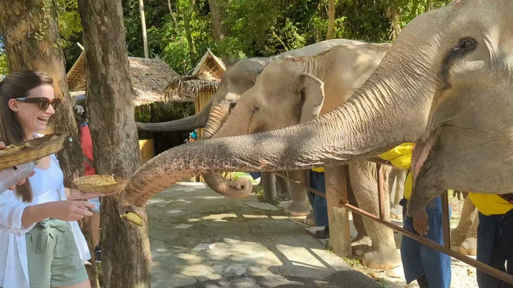 Bukit Elephant Park