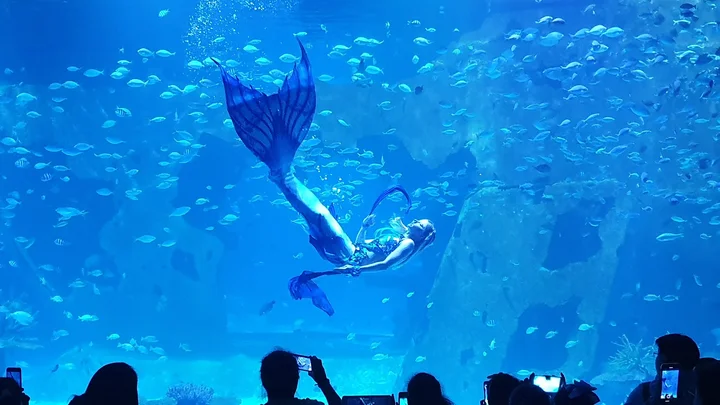 Aquaria Phuket