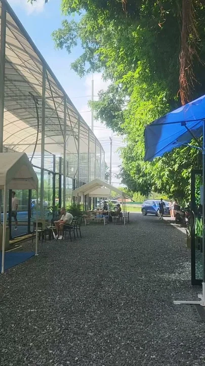 Padel Green Season Open Day at Padel Phuket Chalong