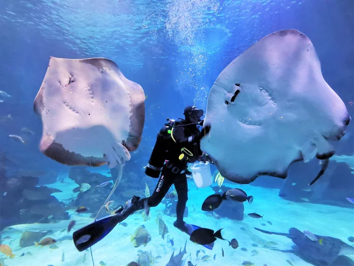 Aquaria Phuket
