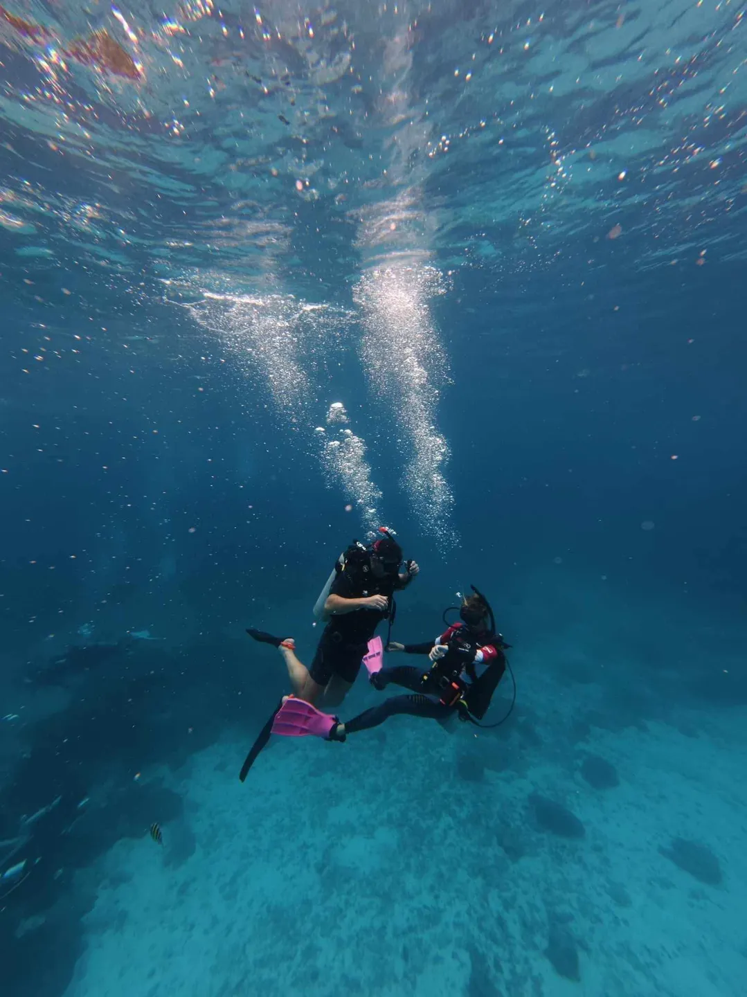 Phuket Dive Master