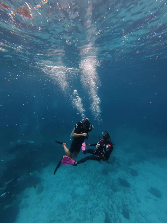 Phuket Dive Master