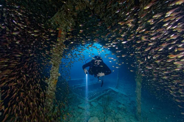 Phuket Dive Provider