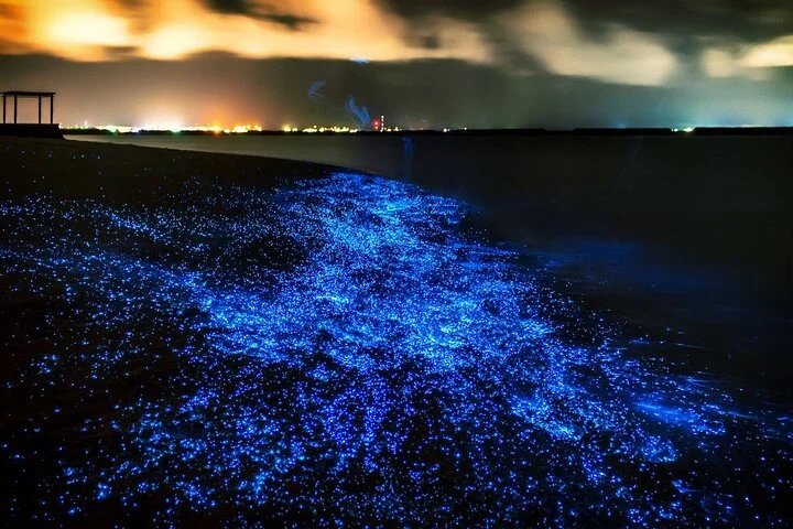 Phuket: Phang Nga Bay Bioluminescent Plankton and Sea Canoes tour - 2