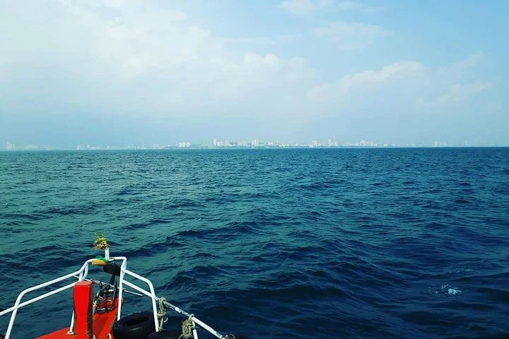 Racha & Coral Island Day Trip by Speedboat - Lunch Included - 5