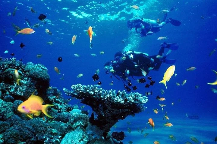 Full-Day Beginner Scuba Course with Private Tuition, Racha Yai - 2