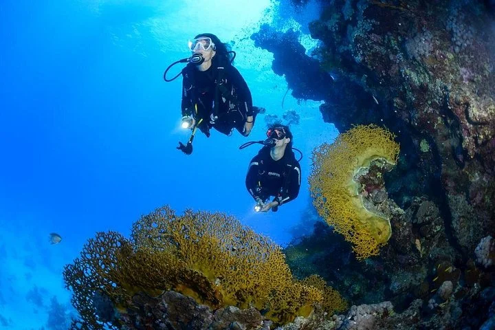 Full-Day Beginner Scuba Course with Private Tuition, Racha Yai - 5