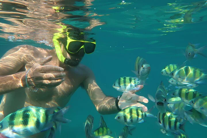Phuket 3 Khai Island Speedboat With Snorkeling (Half or Full Day) - 4