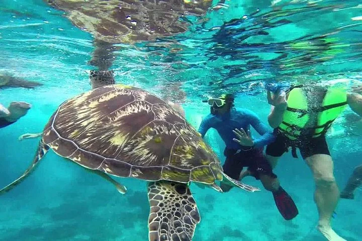 Surin Islands Snorkeling Trip from Phuket - 2
