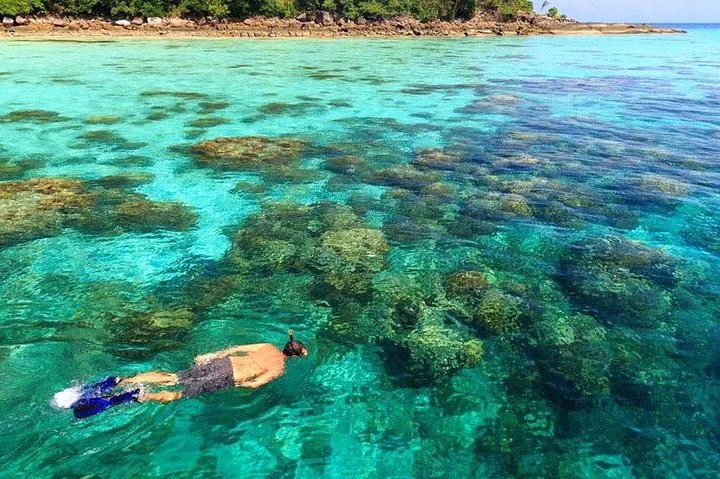 Surin Islands Snorkeling Trip from Phuket - 3