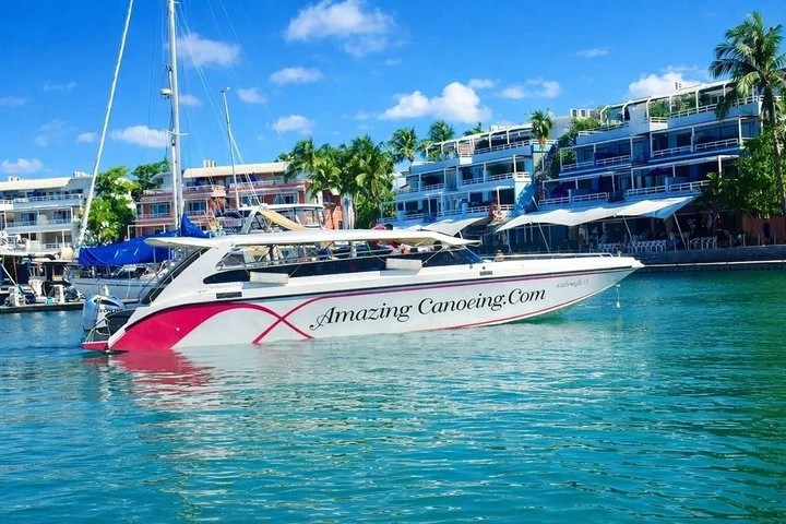 Phi Phi & Bamboo Islands Snorkeling Tour with Lunch by Speedboat - 3