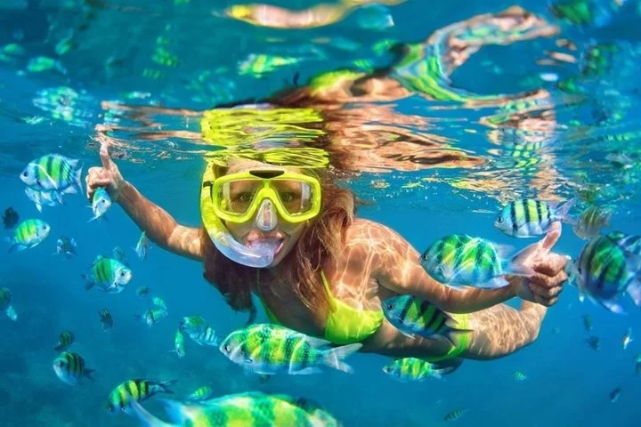 Phi Phi & Bamboo Islands Snorkeling Tour with Lunch by Speedboat - 5