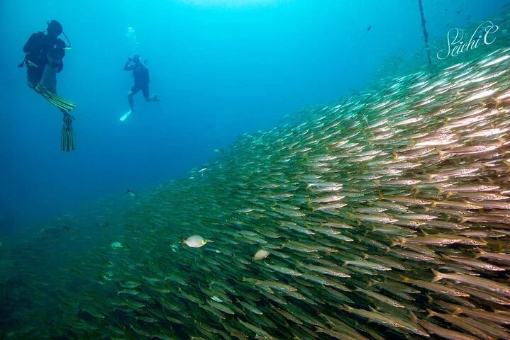 Discover Scuba Diving 3 Dives Racha Islands
