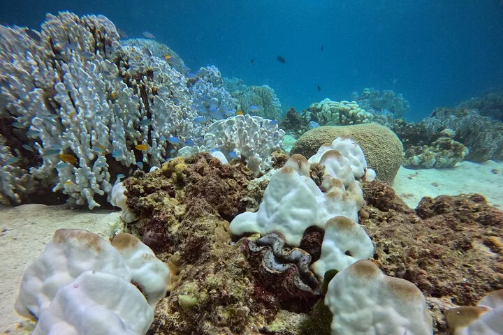 Phuket: PADI Open Water Course 3 Days with GO Pro