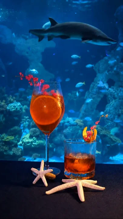 Live Mermaid Underwater Performance at Suvana Phuket