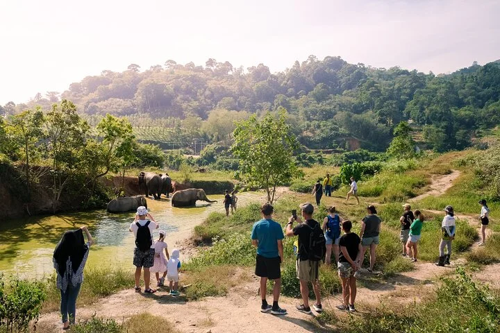Mini Elephant Nature at Bukit Elephant Park at Bukit Elephant Park