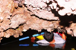 John Gray's Adventure Hong by Starlight in Phang Nga Bay