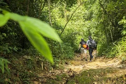 Phuket Jungle Trekking Experience at Khao Phra Taew National Park