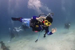 Kata Beach Diving for Beginners Pool Training and 1 Beach Dive